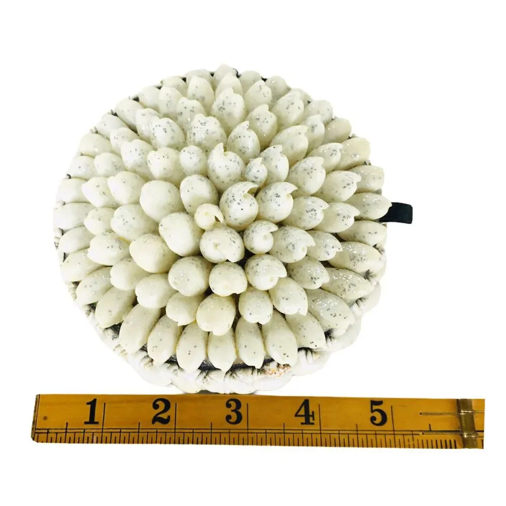 VTG 60s 70s Boho Nautical Cowrie Shell Handmade Collectible Trinket Jewelry Box